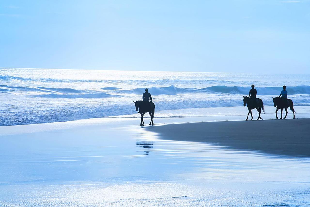 Luxury Beachfront Penthouse Walk To The Beach Restaurants Entertainment Half Moon Bay Exteriör bild